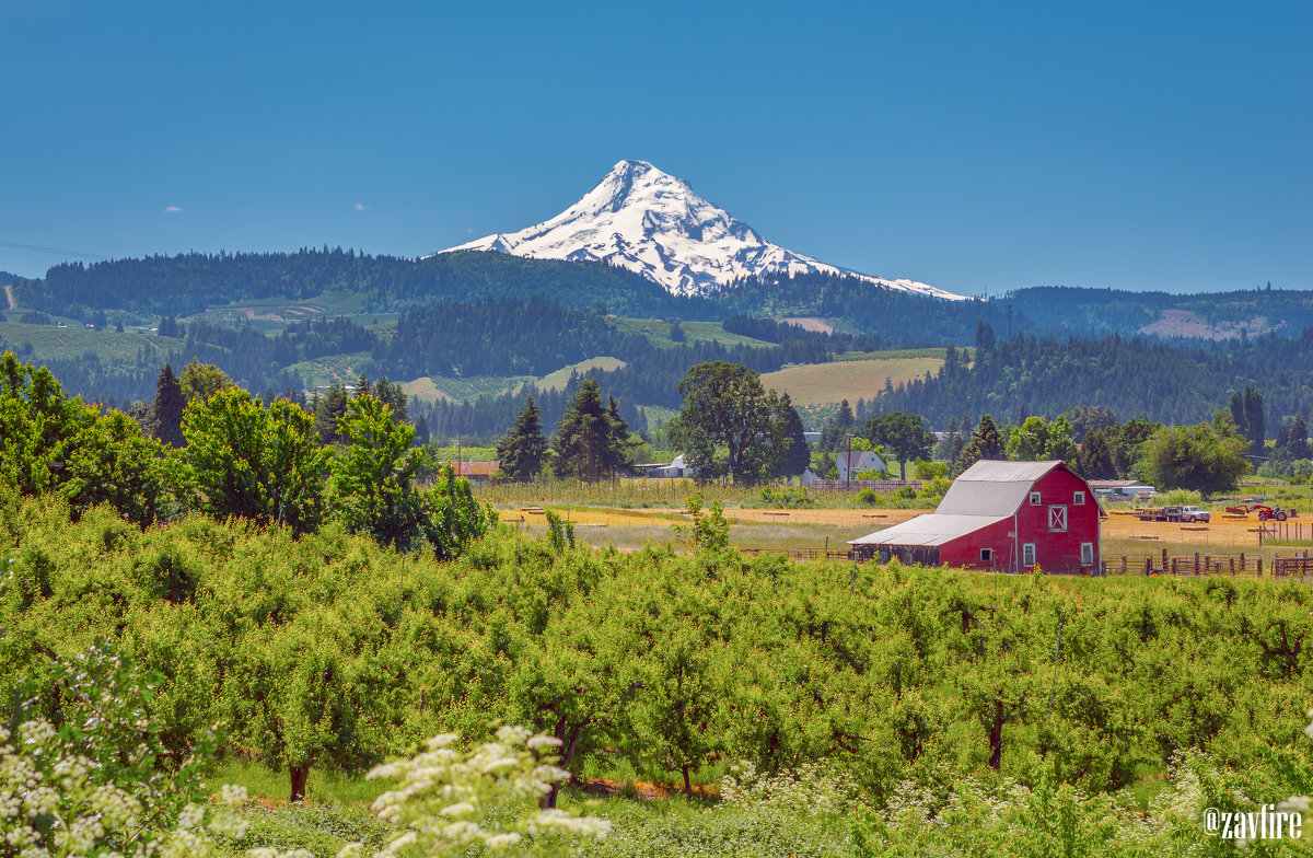 Mount Hood. Oregon. USA - Andy Zav