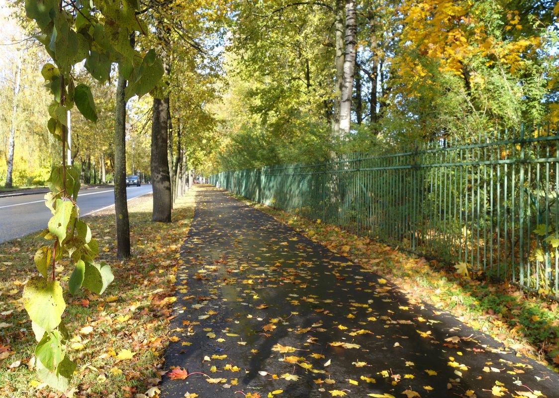 Осенняя улица в Павловске - Елена 