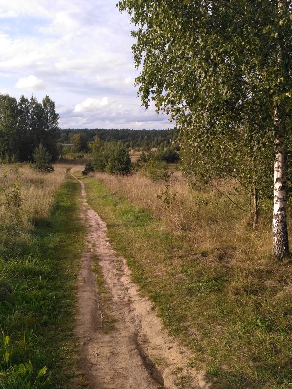 Лето - Александр 