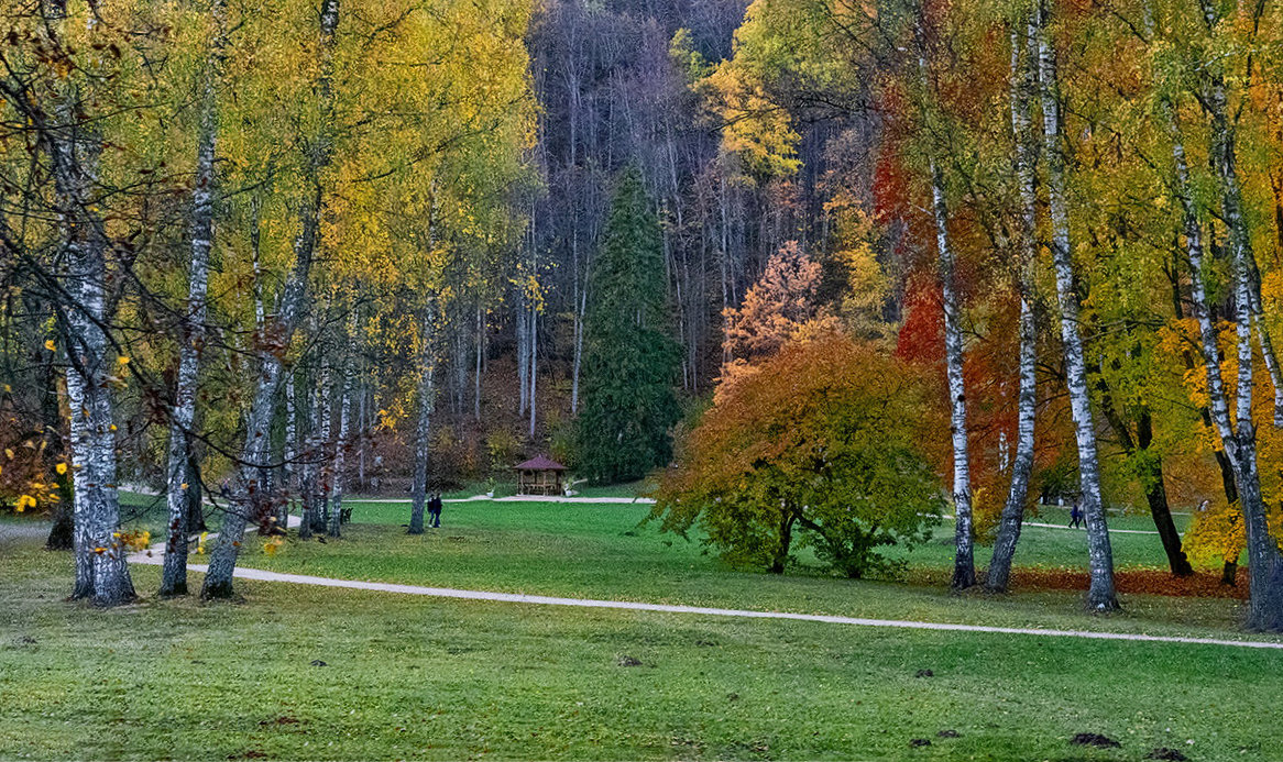 Latvia 2018 Autumn in Sigulda - Arturs Ancans