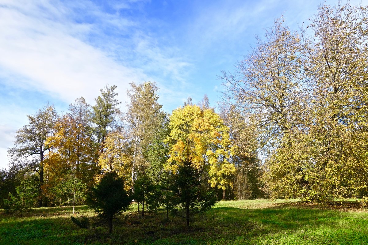 Осенний пейзаж - Елена 
