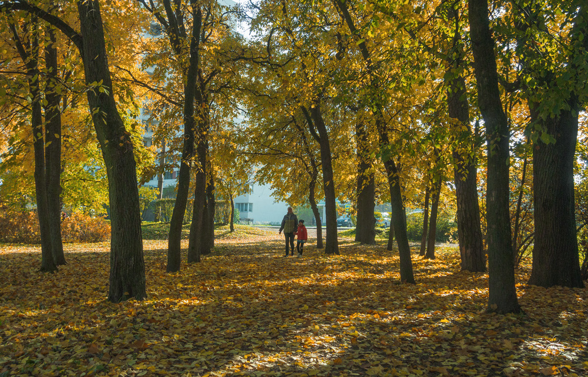 Прогулка по осеннему городу (4) - Виталий 