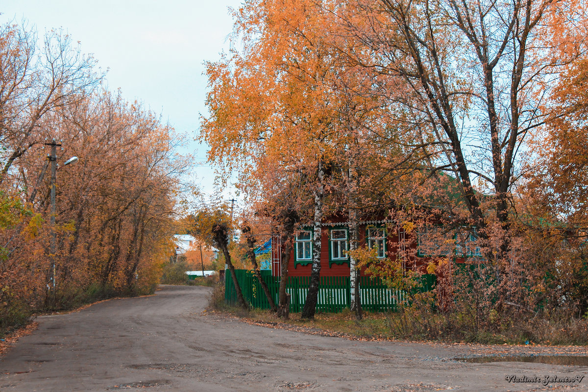 домик в деревне - Владимир Зеленцов