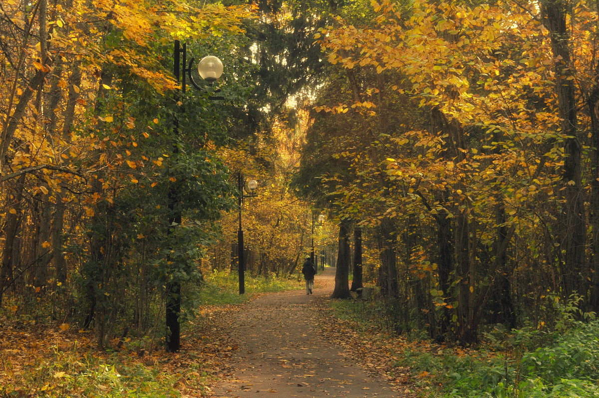 Осенние прогулки - Екатерина 