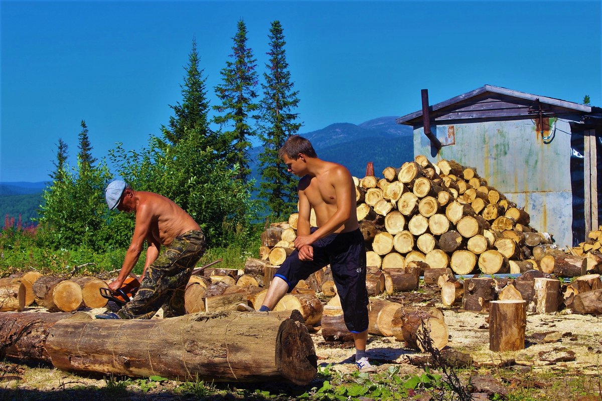 Заготовка дров - Сергей Чиняев 