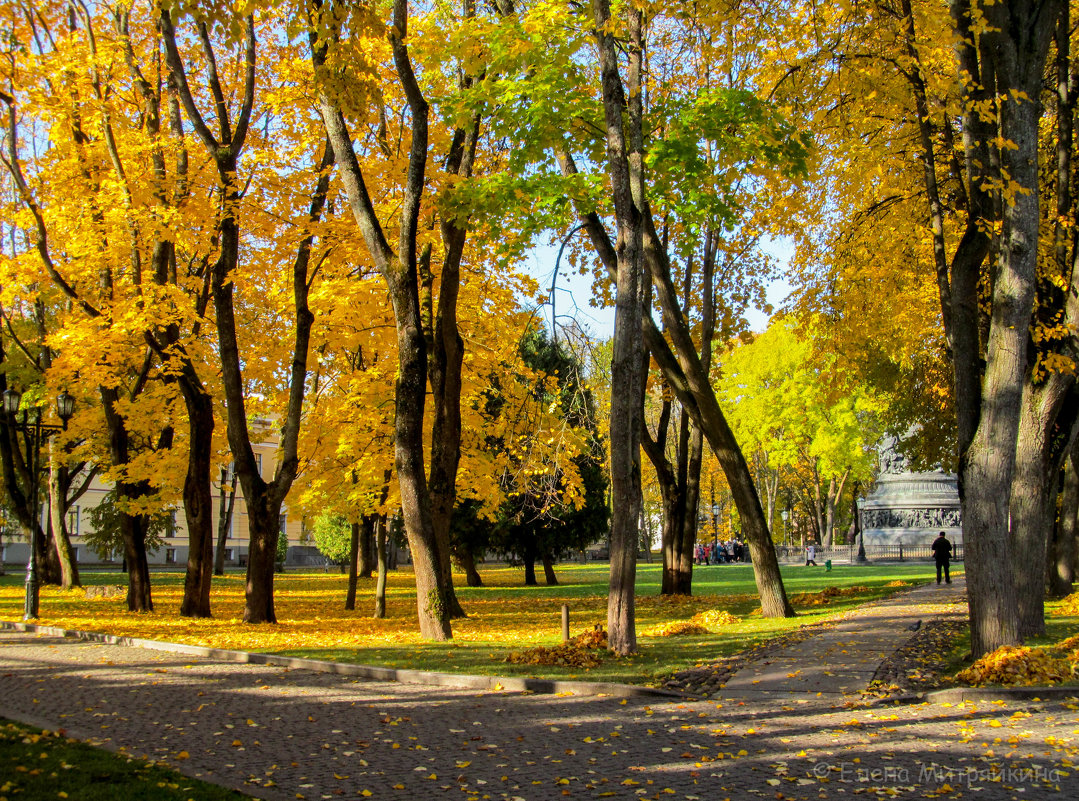 Осенние зарисовки - Елена Митряйкина