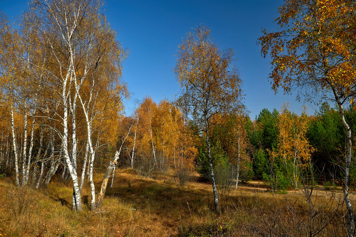 img_8140 - Сергей Козлов