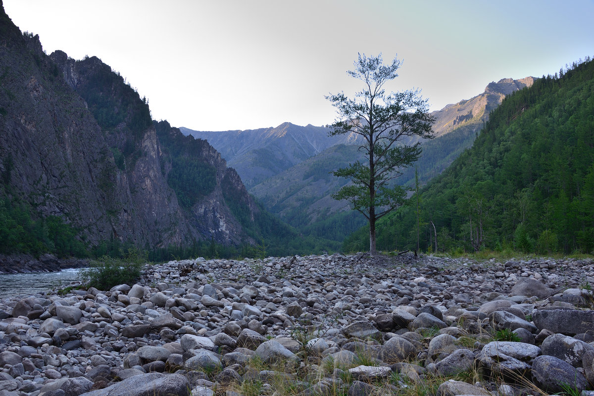 Каменная река Алтай