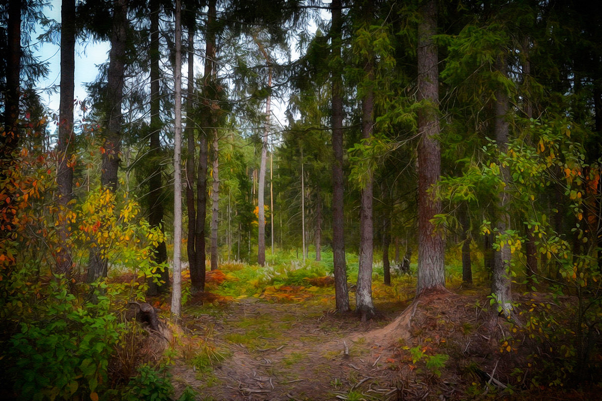 В осеннем лесу - Алексей (GraAl)