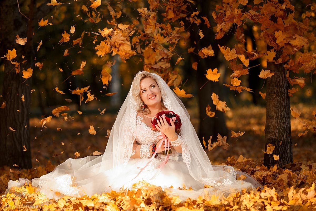 Golden Bride - Mitya Galiano