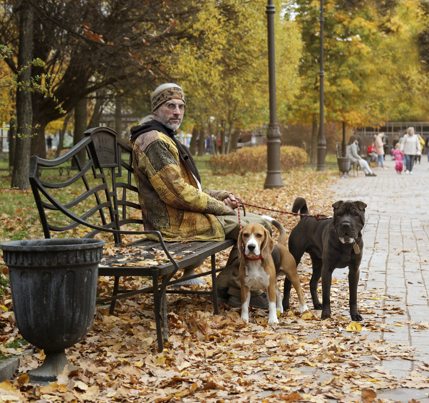 Осень, улица, скамейка, две собаки... - Тата Казакова