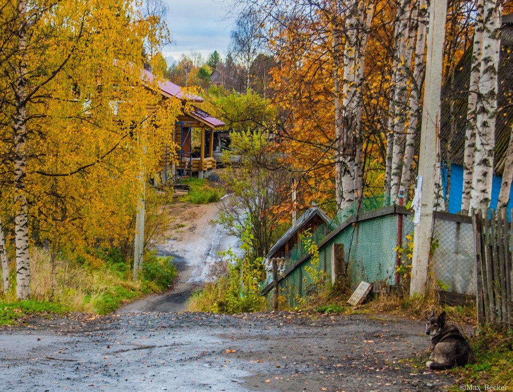 Осень - Макс Беккер