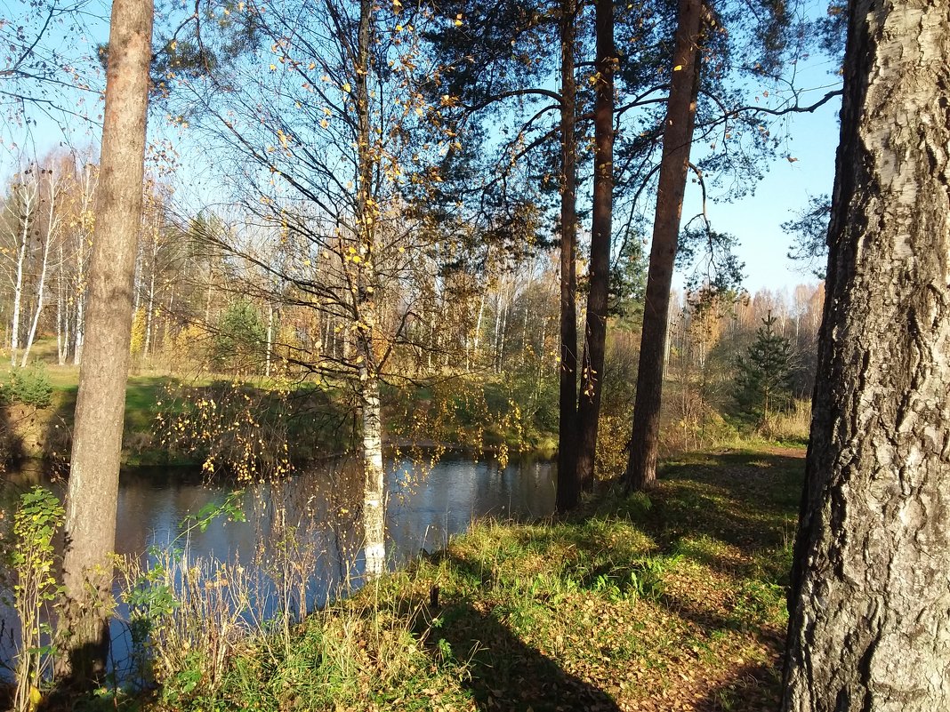 УТРО НА РЕКЕ - Виктор Елисеев