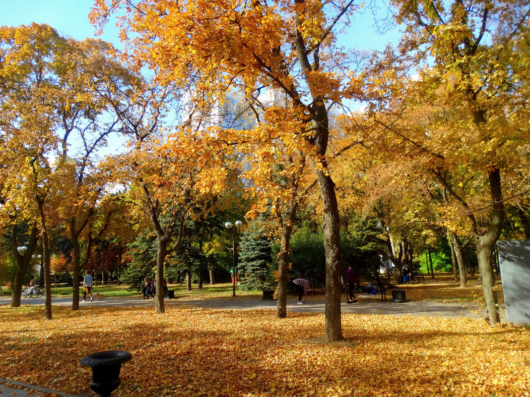 Золотая осень в Покровском сквере... - Тамара (st.tamara)