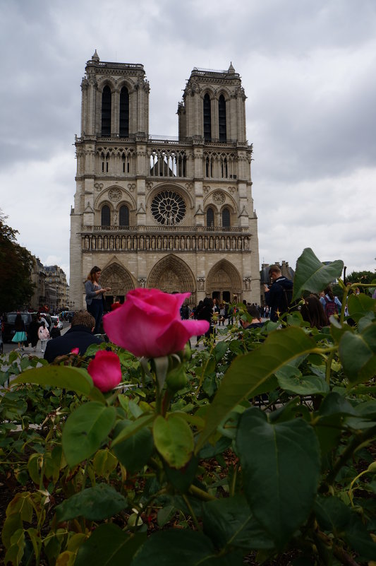 Notre Dame de Paris - Алёна Савина