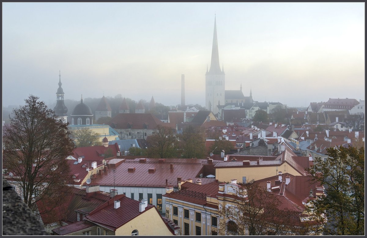 Tallinn - Jossif Braschinsky