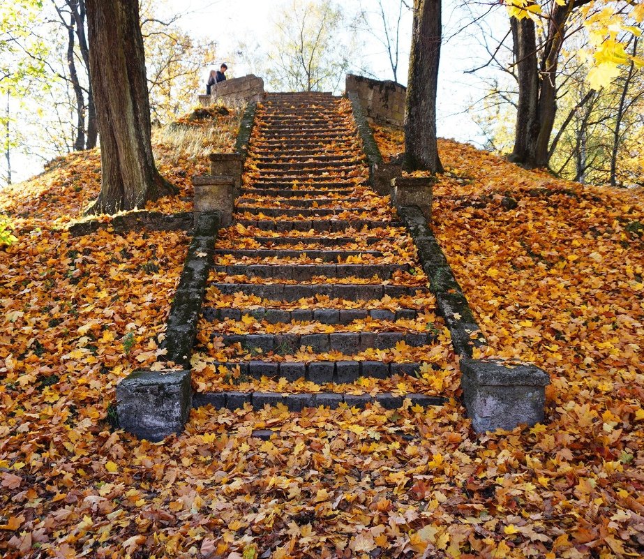 Осенняя лестница - Александр Михайлов