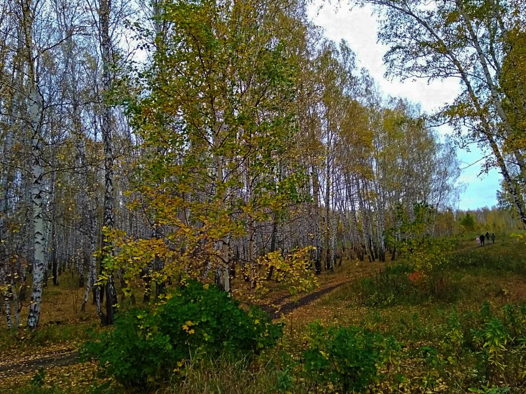 Осенняя прогулка ... - Татьяна Котельникова