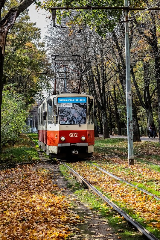 Калининградский трамвай - Андрей Щукин