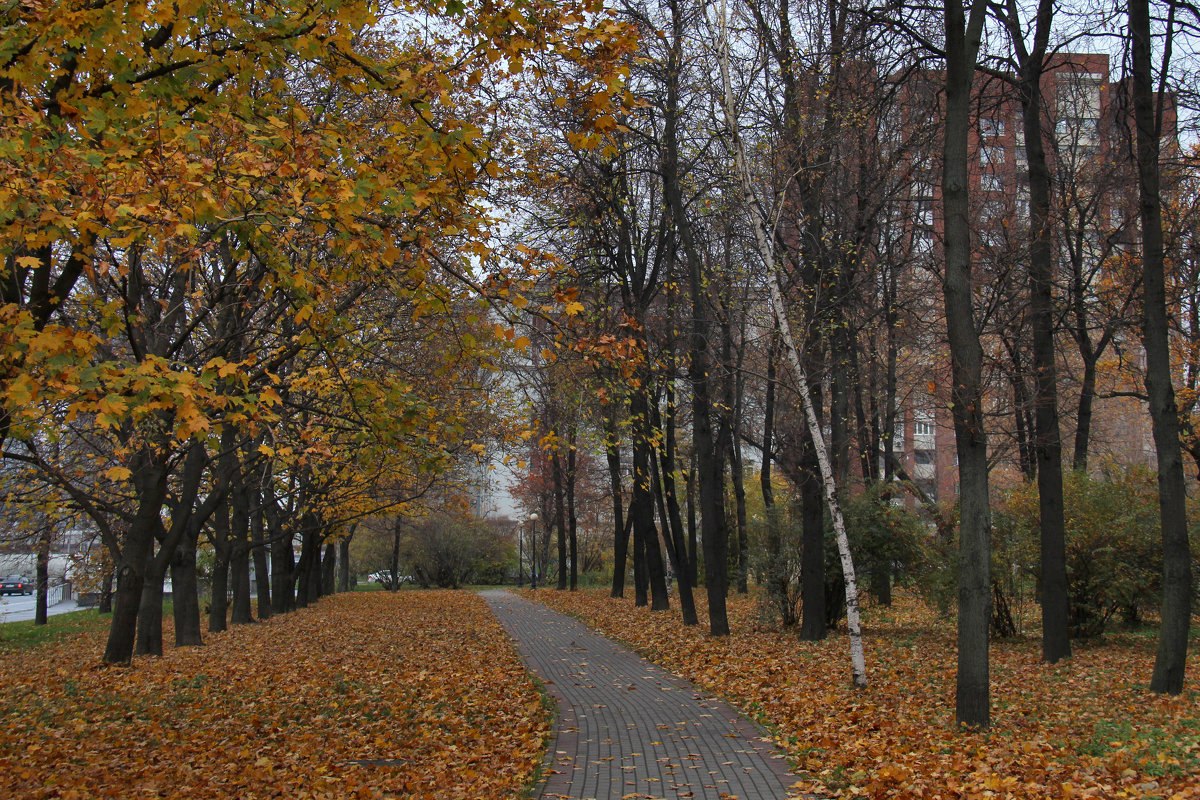 парк петра алексеева