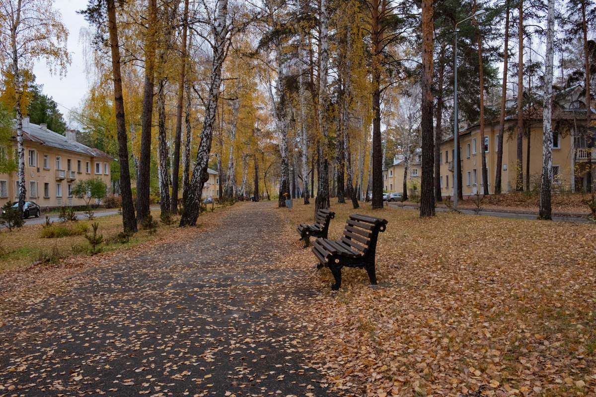 Осень в городе - Sergey Sapozhnikov