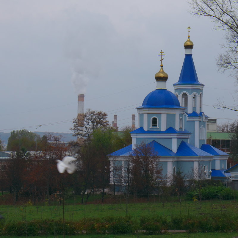 Дух святой... - Юрий Сытник