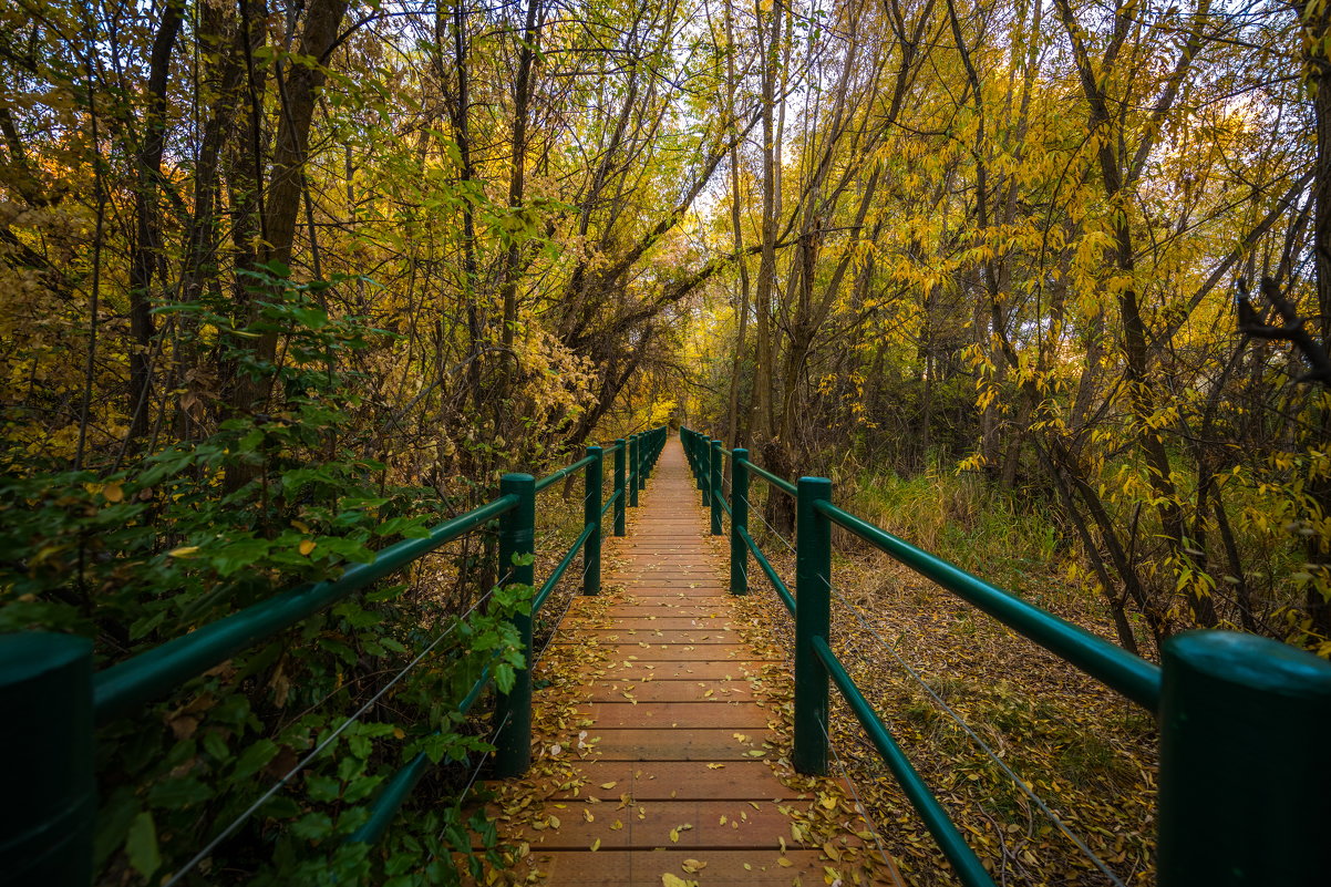 Осенний парк - Iosif Magomedov