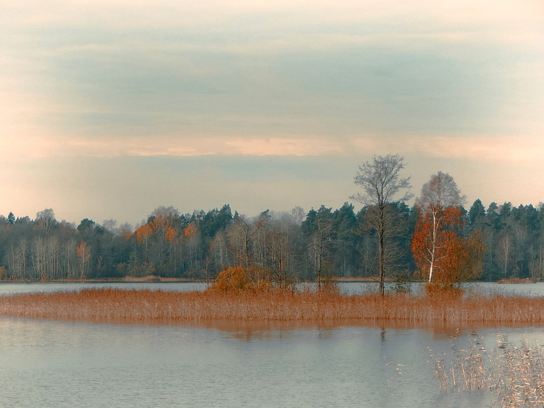 *** - Елена Михайлова .