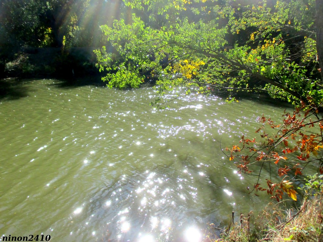 Солнечные блики на речной воде - Нина Бутко
