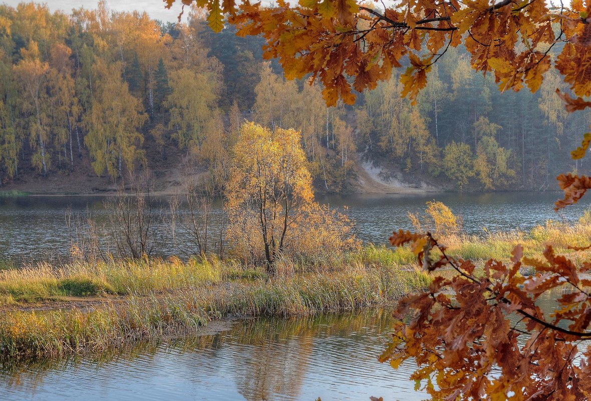 Осень - Константин 