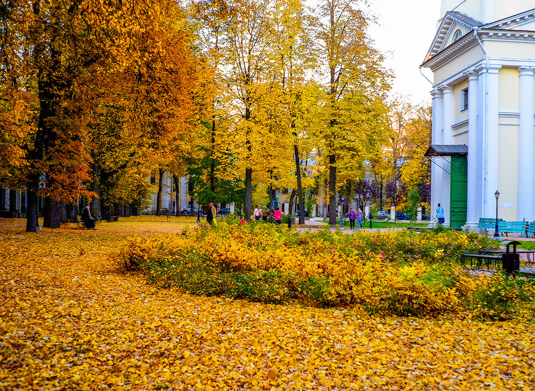 Осень в парке - Виктор 