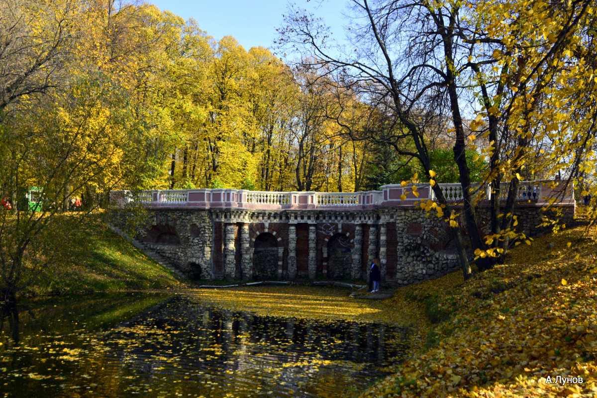 Золотая осень в Лефортовском парке... - Anatoly Lunov