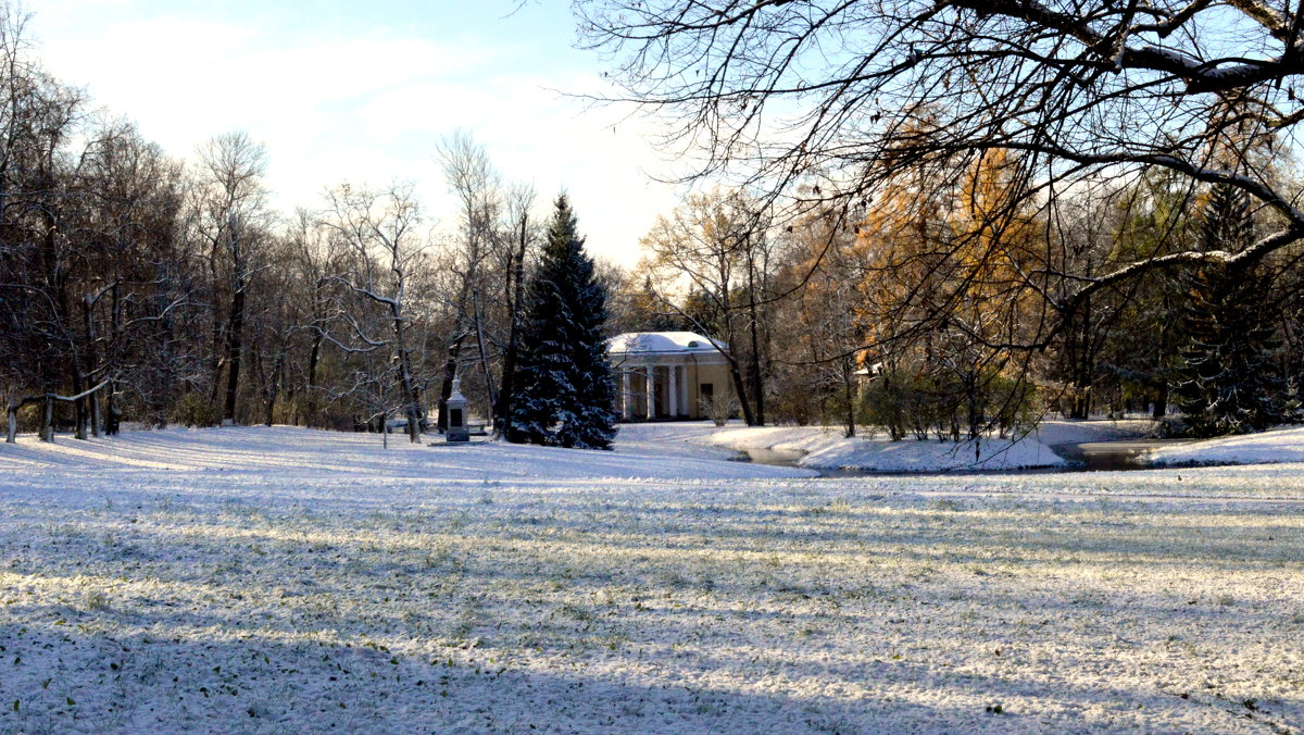 В парке, выпал первый снег  12 - Сергей 