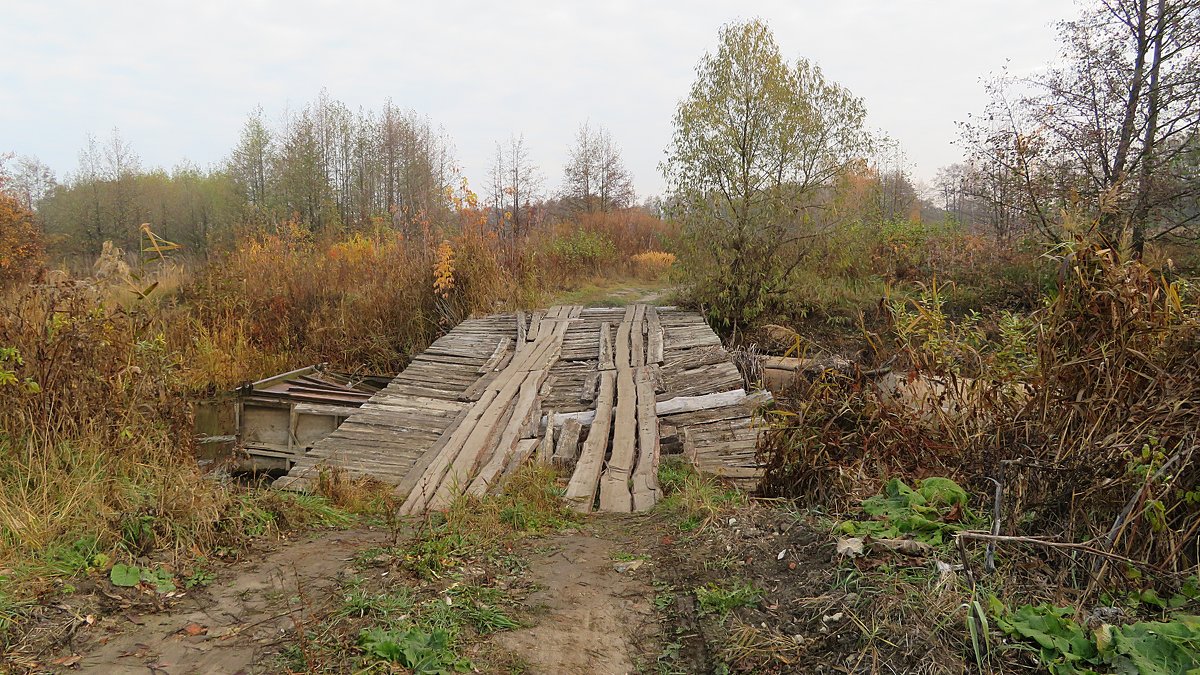 "Самопальный" мосток в лес - Виталий Селиванов 