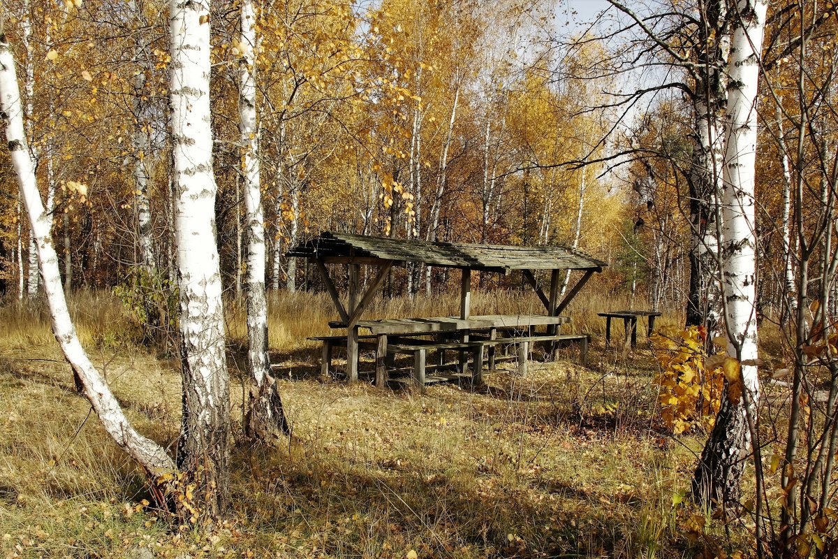 осень - Владимир Холодницкий