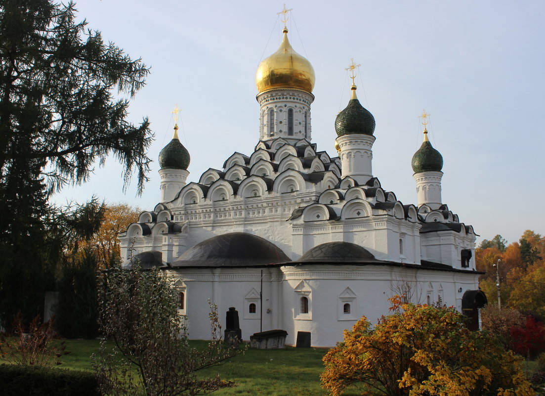 Храм Димитрия Солунского в Дмитровке - Дмитрий Солоненко