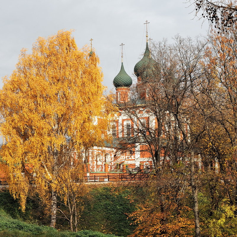 Яркая палитра ярославской осени - Николай Белавин