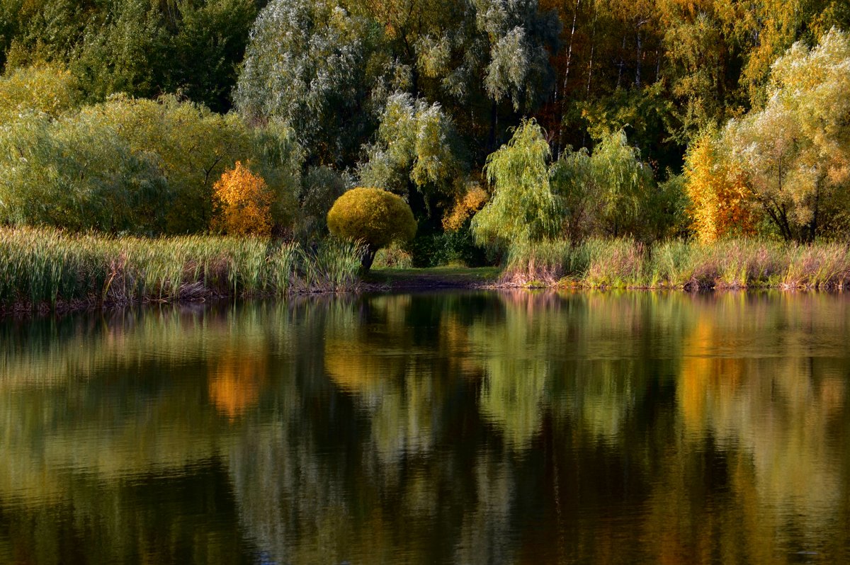 Осенняя акварель - Ольга Русанова (olg-rusanowa2010)