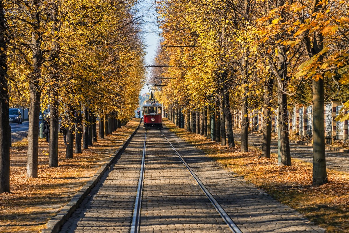 old tram in autumn Prague - Dmitry Ozersky