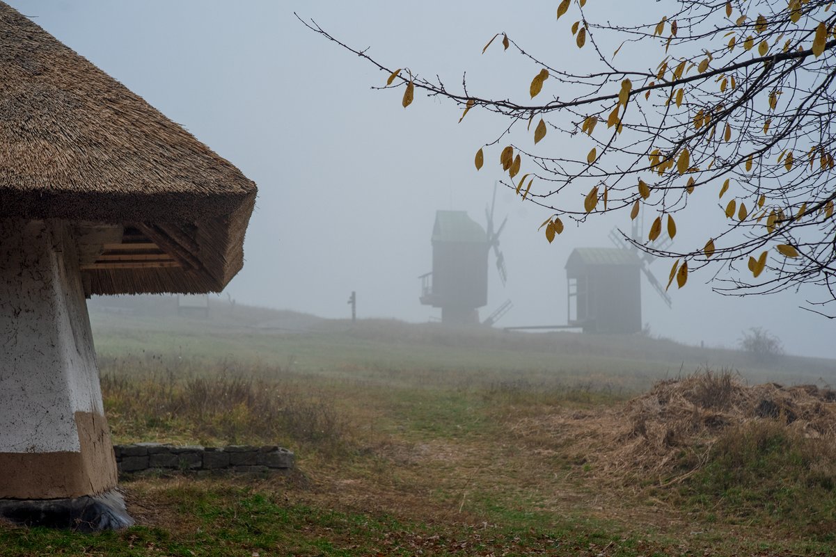 ... - Слава Украине