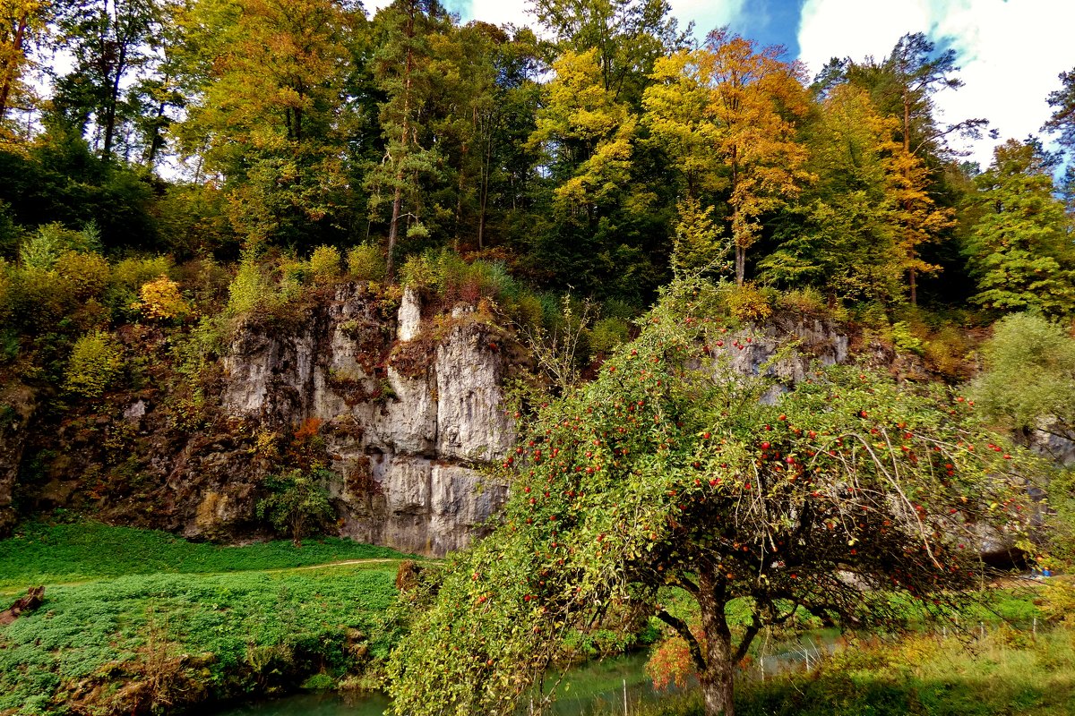 Осень  в скалах Франконской  Швейцарии - backareva.irina Бакарева