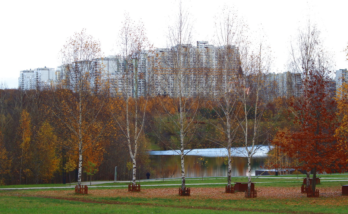 Осень в парке - Людмила Монахова