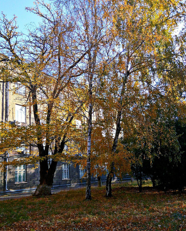 Городская осень... - Владимир Бровко