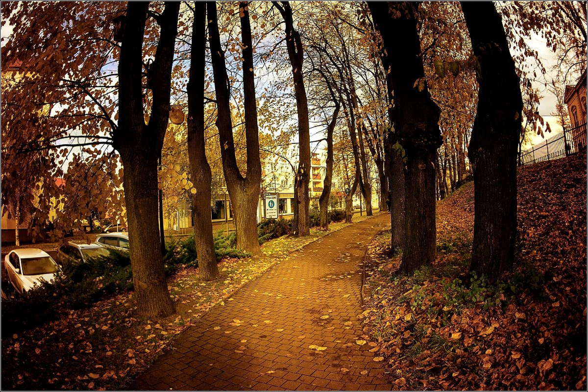 Осень в Попраде - Jiří Valiska