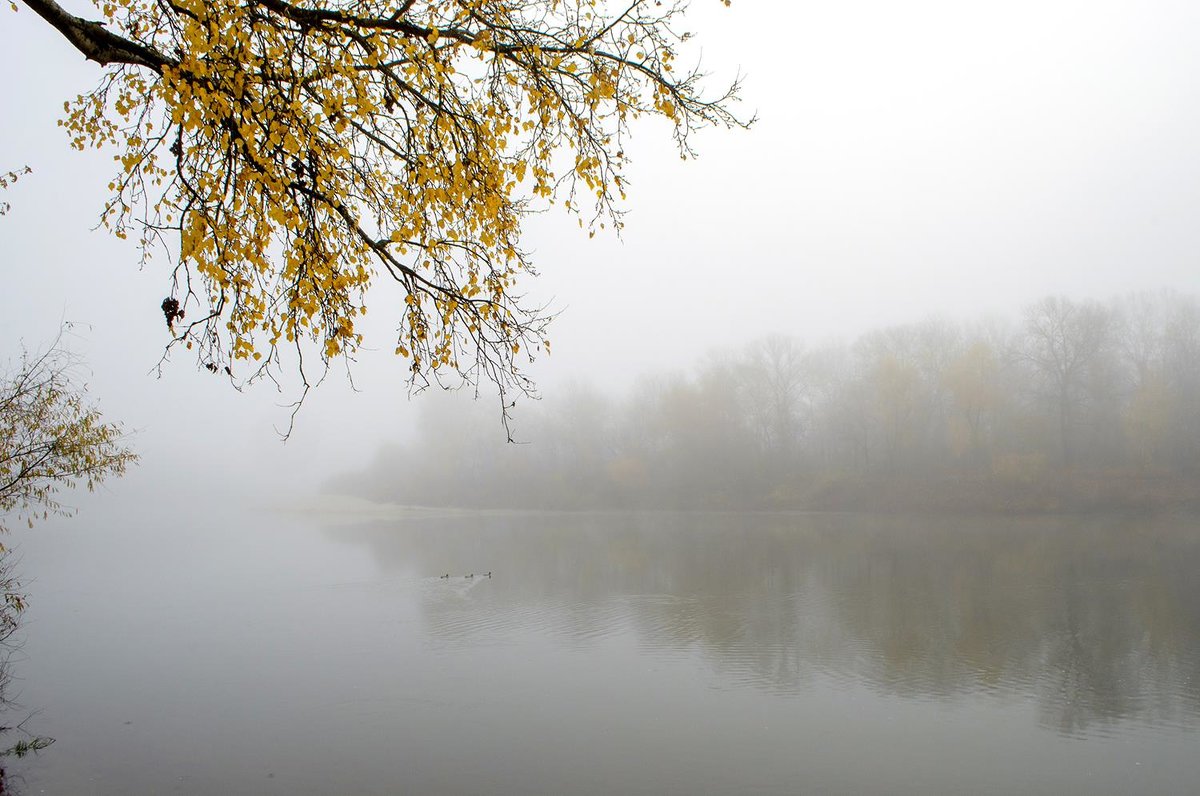 Туман над рекой - Сергей Тарабара