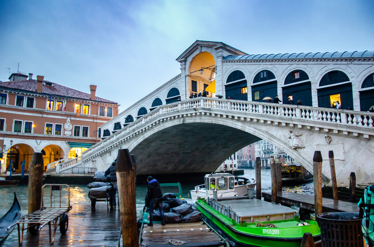 Мост Риальто,Венеция - Наталия Л.