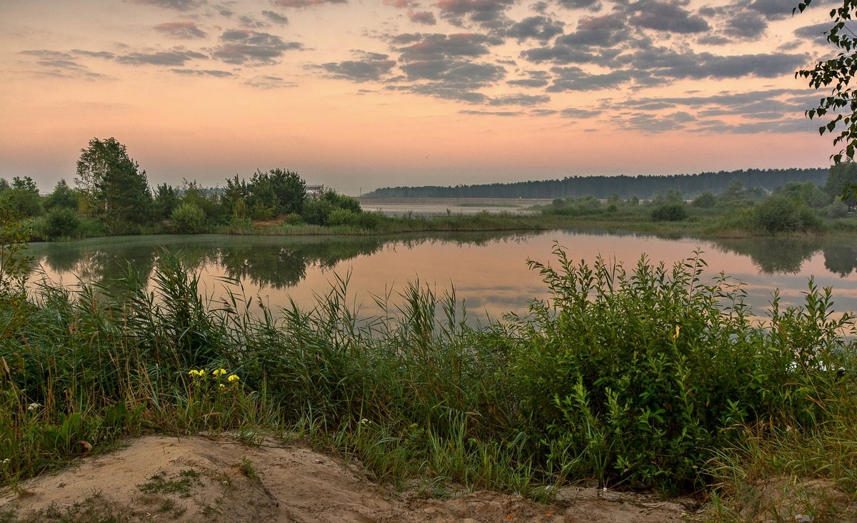 * - Александр Тулупов