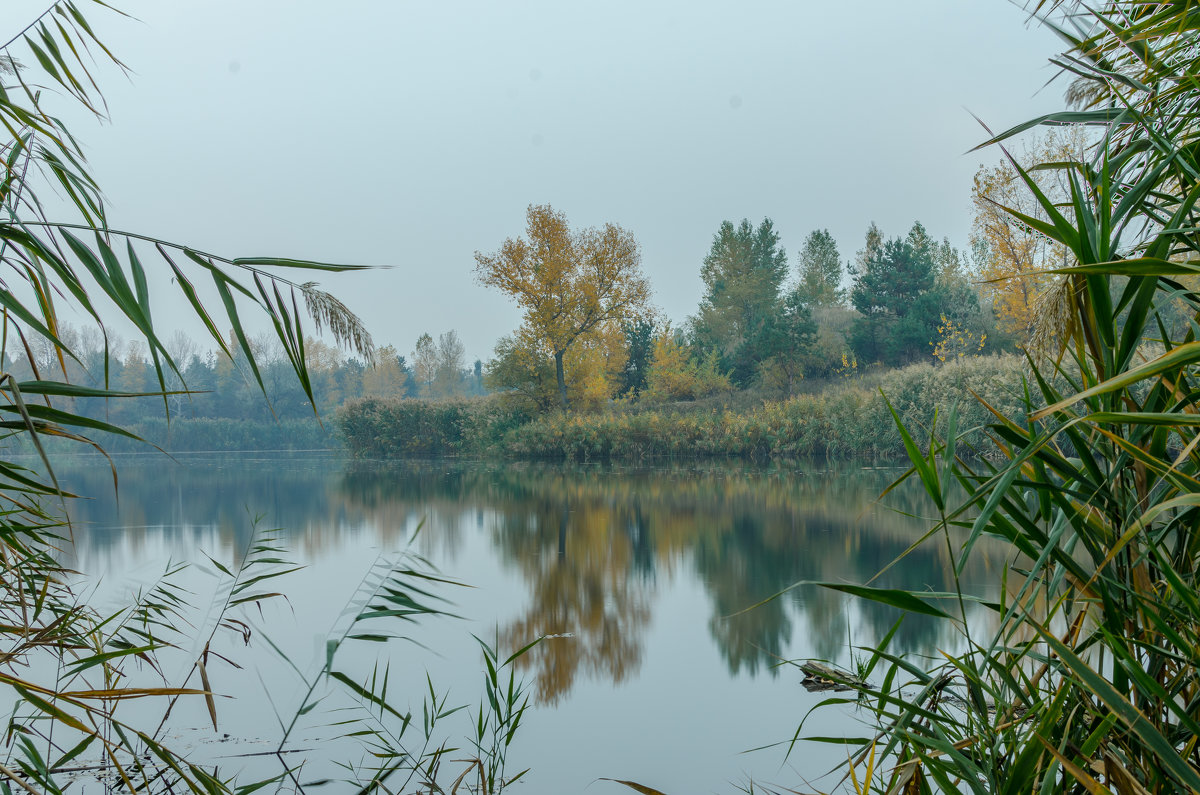 *** - Александр 