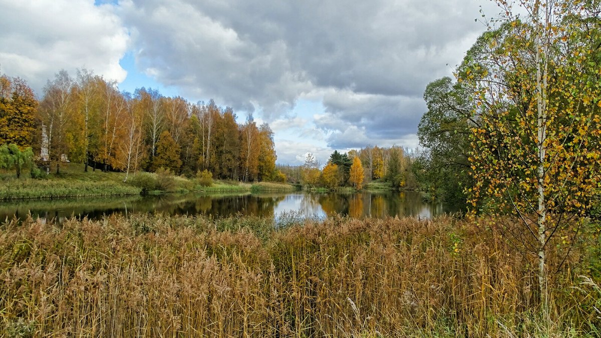 Осенний пейзаж - Милешкин Владимир Алексеевич 
