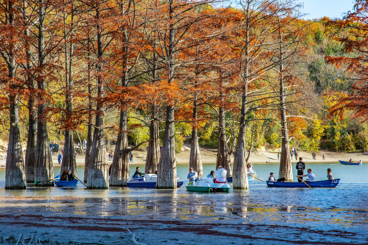 Осень на Кипарисовом озере - Ольга Решетникова